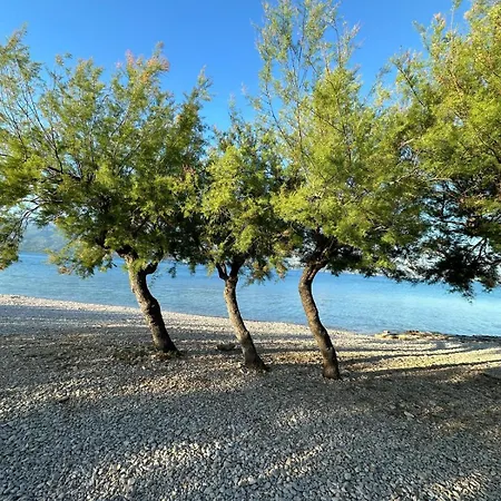 Hill Mobile منتزه العطل *