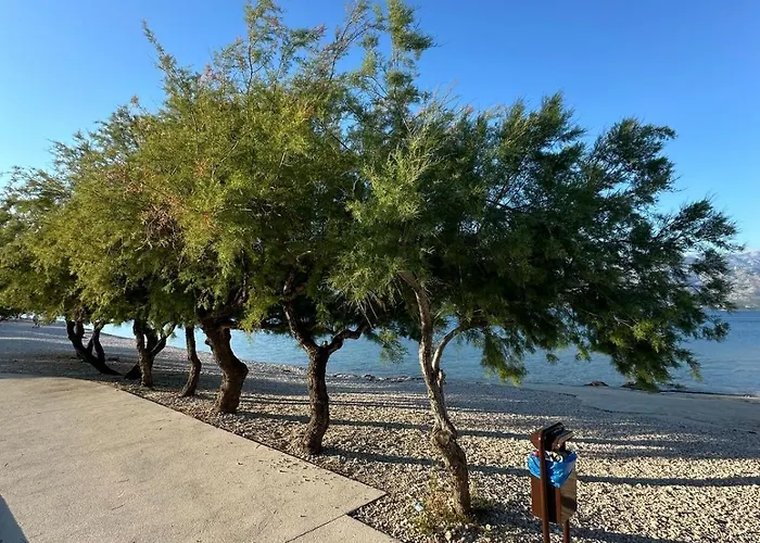 Semesterpark Hill Mobile Ražanac